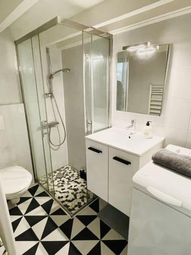 une salle de bain avec une douche, un lavabo et des toilettes dans l'établissement Le Ptit Parisien - Champs Élysées - Métro & Wifi, à Paris