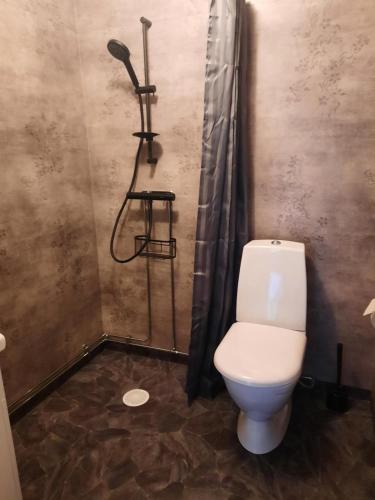 a bathroom with a toilet and a shower at Sjötorps Säteris 1600-tals Huvudbyggnad in Larv