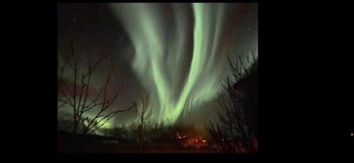 an image of the northern lights in the sky at Álftártunga Farm Guesthouse in Borgarnes