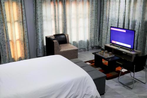 um quarto com uma cama, uma televisão e uma cadeira em De Ellas Boutique Lodge em Polokwane