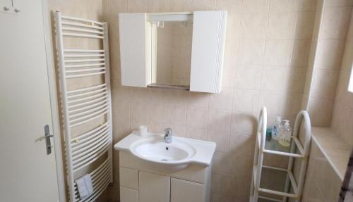 uma casa de banho com um lavatório e um espelho em Apartmani ANDRIJA em Živogošće