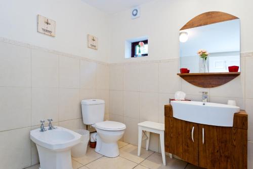 a bathroom with a toilet and a sink and a mirror at Dublin Vacation Rentals in Dublin