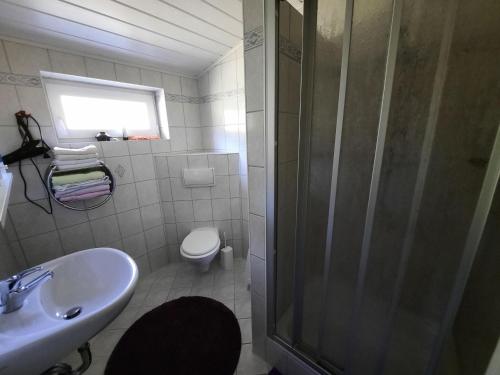 a bathroom with a shower and a toilet and a sink at Panoramic view holiday home, Neureichenau in Neureichenau