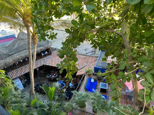 Un jardín fuera de Siesta Suites Boutique Hotel