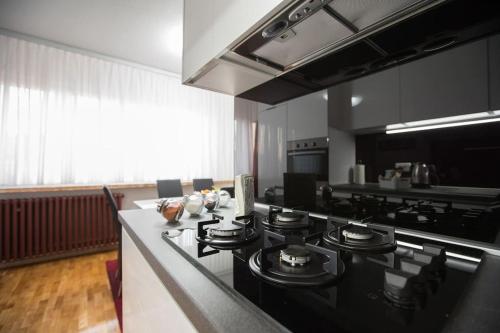 cocina con fogones y encimera en Apartment Check In Zagreb Maksimir-free parking, en Zagreb