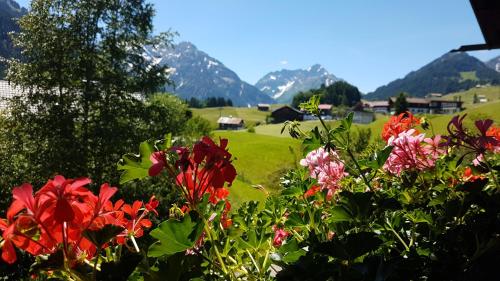 a field of flowers with mountains in the background at Haus Bergliebe Kleinwalsertal in Riezlern