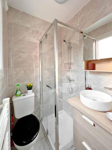 une salle de bain avec une douche, des toilettes et un lavabo dans l'établissement Cosy Appart. aux portes de Paris, à Villejuif