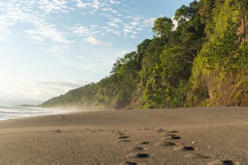 a footprints in the sand on a beach at El Remanso Rainforest Lodge in Puerto Jiménez