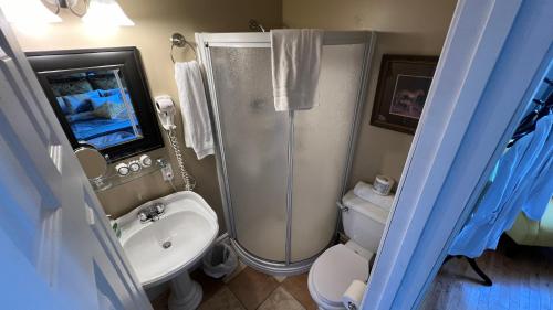 La salle de bains est pourvue d'une douche, de toilettes et d'un lavabo. dans l'établissement Gîte du Caméléon, à Sherbrooke