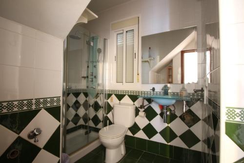 ein Bad mit einem WC, einer Dusche und einem Waschbecken in der Unterkunft casa rural villamontecarmelo in La Estación de Benacazón