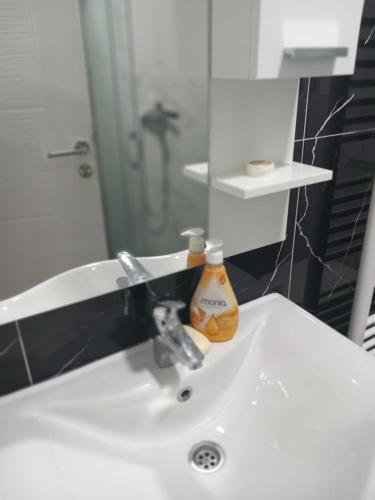 a bathroom sink with a bottle of soap on it at Apartman IRIS in Bijeljina