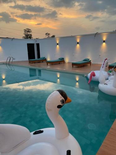 a pool with two ducks in the water at Nandy's home in Odza II