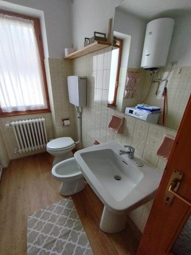 ein Badezimmer mit einem weißen Waschbecken und einem WC in der Unterkunft Ca Bellavista in Chiesa in Valmalenco