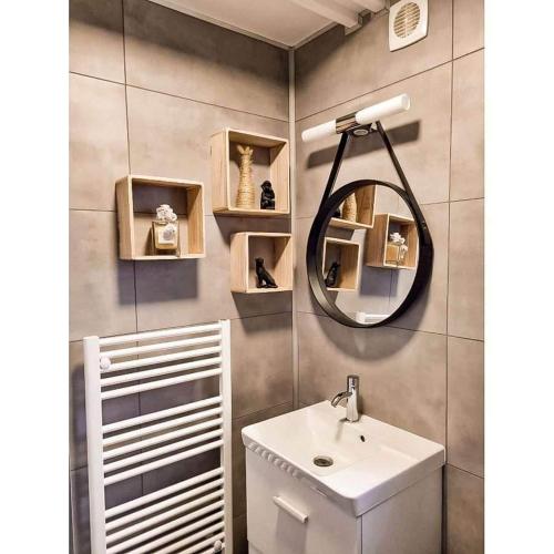 une salle de bain avec un lavabo et un miroir dans l'établissement Chalet colonids 2, à Grues