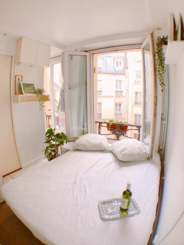 Green cozy studio au cœur de Paris