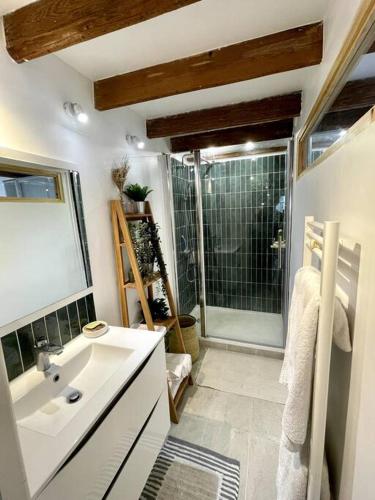 une salle de bain avec un lavabo et une douche dans l'établissement Beautiful Parisien Apartment in the City Center, à Paris
