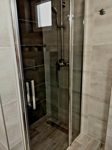 a shower with a glass door in a bathroom at Teta Lidia in Krilo