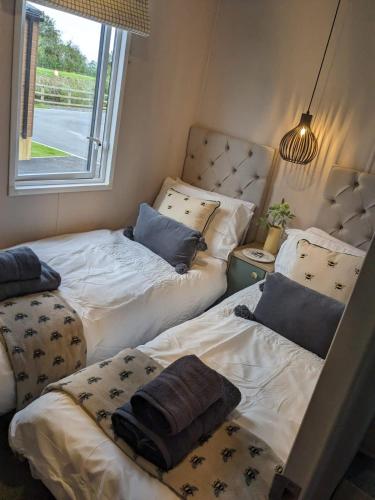 2 Einzelbetten in einem Zimmer mit Fenster in der Unterkunft Waterfoot Lodge in Little Habton