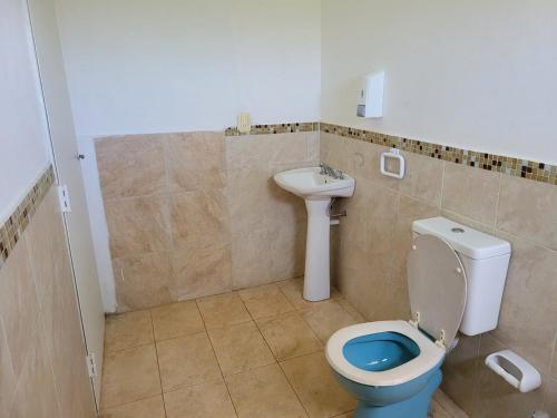a bathroom with a toilet and a sink at Quinta Germania in Garupá