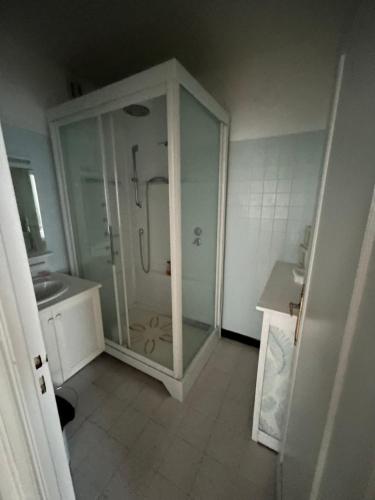 een badkamer met een douche, een toilet en een wastafel bij Appartement lumineux et spacieux centre de Tours in Tours