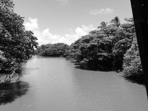 a black and white photo of a river with trees at River Front Villa in Wadduwa