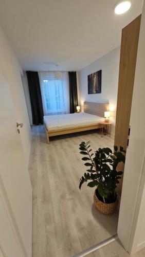 a room with a bed and a potted plant at 2 room Apartment with terrace, 2AK in Bratislava