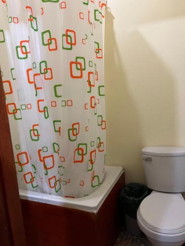 卡拉馬的住宿－Residencial Amanda Josefa，一间带卫生间和淋浴帘的浴室