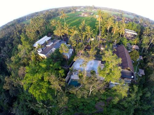 an overhead view of a house in the forest at RiverView Gardens in Ubud