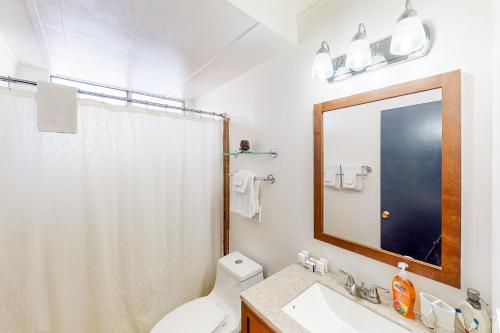 uma casa de banho com um WC, um lavatório e um espelho. em Cozy Cabin em Groveland