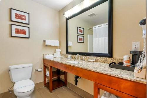 a bathroom with a toilet and a sink with a mirror at Comfort Inn & Suites Redwood Country in Fortuna