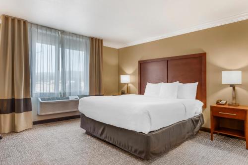a hotel room with a large bed and a window at Comfort Inn & Suites Redwood Country in Fortuna