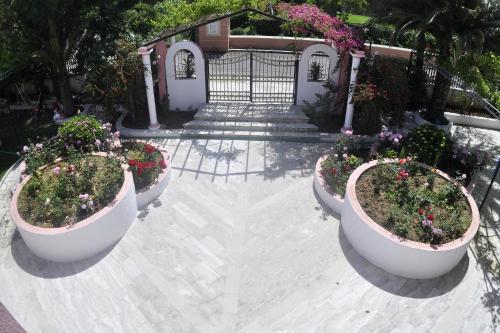 a group of flowers in large pots in a courtyard at Hotel Elena Ermones in Ermones