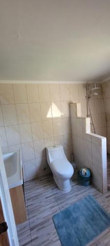 een badkamer met een toilet en een wastafel bij Domo Familiar Mi Espacio Rustiko in San Carlos