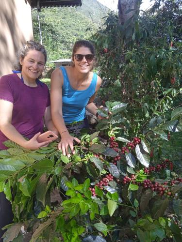 two women sitting next to a bush of cherries at Lia B&B Lucmabamba in Sahuayacu