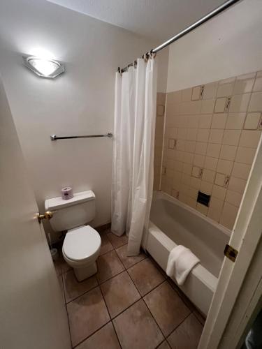 a bathroom with a toilet and a tub and a sink at Hotel Victoria in Lillooet