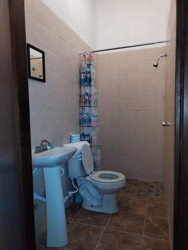 La salle de bains est pourvue de toilettes bleues et d'un lavabo. dans l'établissement Carmen Graciela, à Álamos