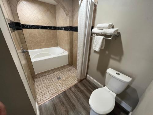 a bathroom with a toilet and a shower and a tub at Econo Lodge Inn & Suites Murfreesboro Shopping District in Murfreesboro