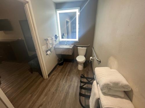 a bathroom with a toilet and a sink and a mirror at Econo Lodge Inn & Suites Murfreesboro Shopping District in Murfreesboro