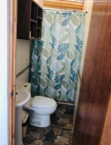 a bathroom with a toilet and a shower curtain at Casa Lobos in Lobitos