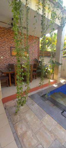 a plant is growing in the courtyard of a building at Jasmine Villa Senggigi in Senggigi 