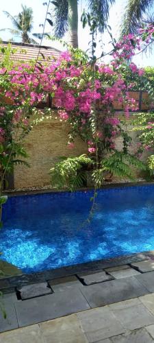a swimming pool with pink flowers on a wall at Jasmine Villa Senggigi in Senggigi 