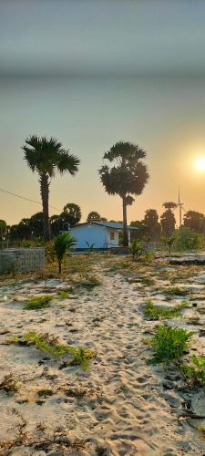 a beach with two palm trees and a building at MR JEY Deluxe in Jaffna