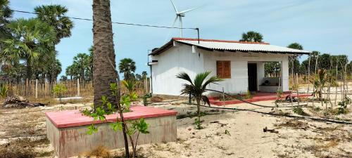 una pequeña casa en un campo con una palmera en MR JEY Deluxe, en Jaffna