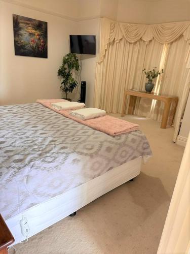 a bedroom with a large bed and a television at Brice Hill Country Lodge in Clare