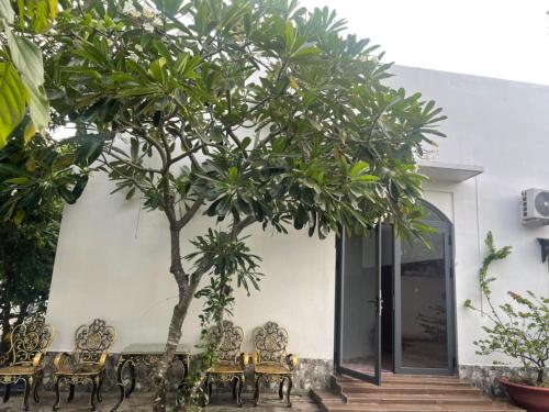 Κήπος έξω από το Phụng Kim Thảo Hotel Long An