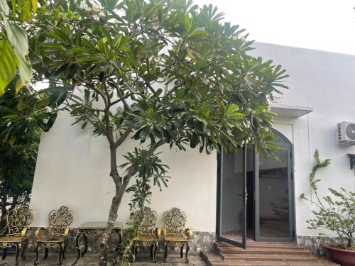 a group of chairs and a tree in front of a building at Phụng Kim Thảo Hotel Long An in Long An