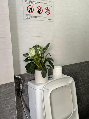 a plant sitting on top of a urinal in a bathroom at Khoảng Lặng ATP in Da Lat