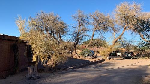a dirt road with trees on the side of the road at Casa Adobe - tranquilidad en el Desierto de Atacama in San Pedro de Atacama