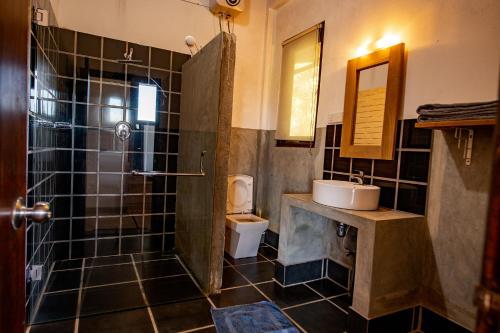 a bathroom with a shower and a sink and a toilet at Benjamin Cottage Haputale in Haputale