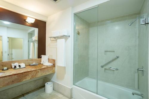 Un baño de Camino Real Pachuca